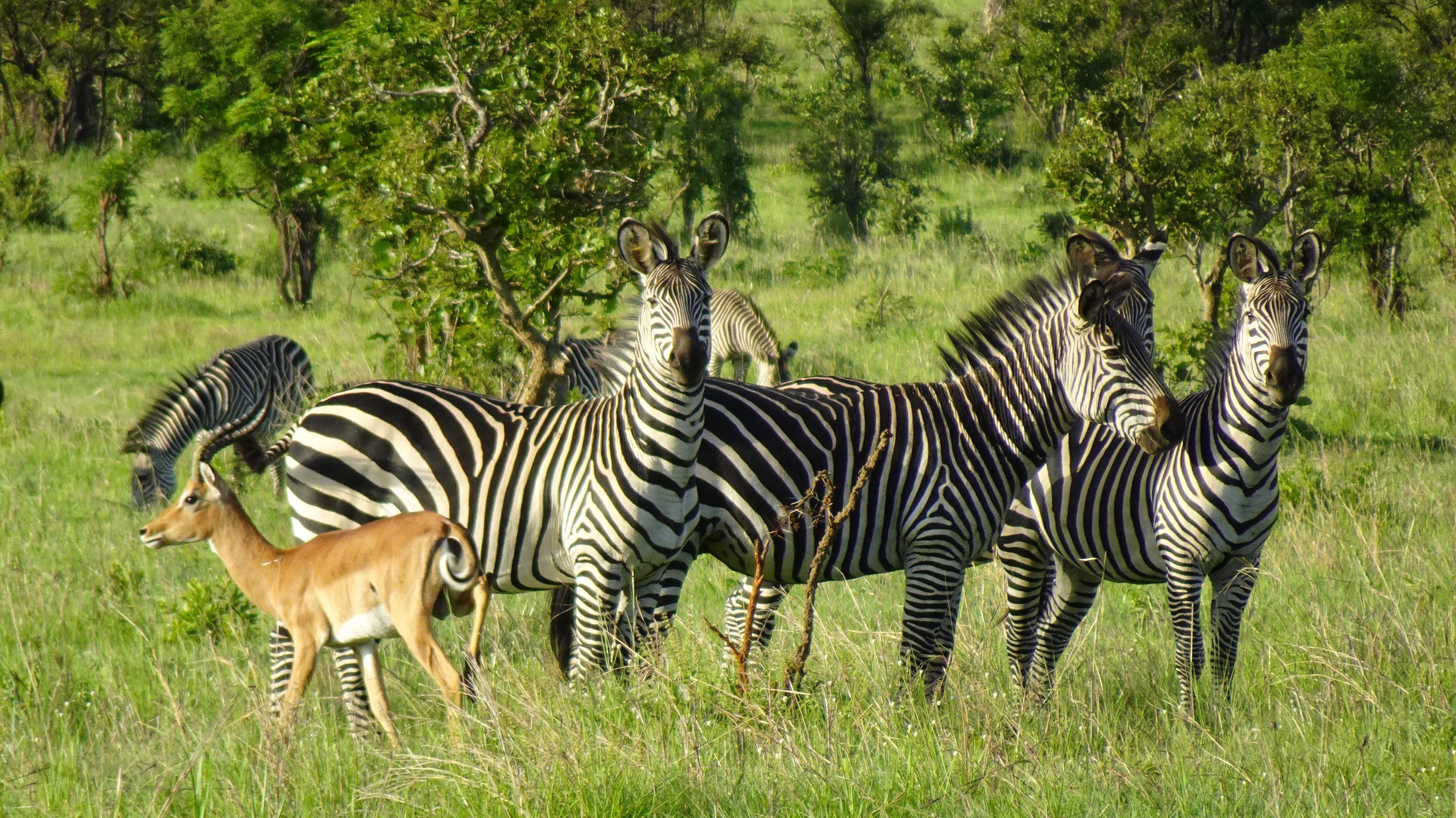 Namibia – Südafrika Tour